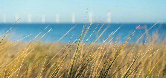 Amager Beach Park in Copenhagen with beach grass, sand and water in the background - a popular destination for guests staying in holiday apartments nearby