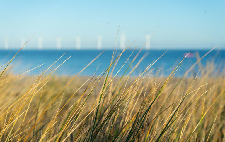 Amager Beach Park in Copenhagen with beach grass, sand and water in the background - a popular destination for guests staying in holiday apartments nearby